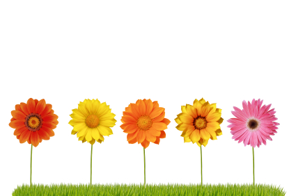 fleurs_cinq_425 alternate text for this image