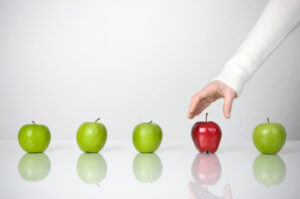 Le conseil, garant du succès !