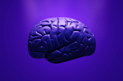 cerveau_pensee_reflexion_425 alternate text for this image