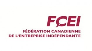 logo_FCEI alternate text for this image
