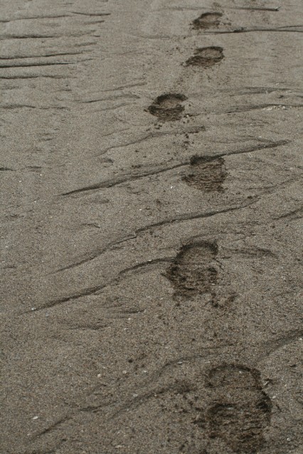 pas_empreinte_vacance_trace-426×638 alternate text for this image