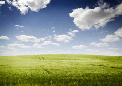 nature_champ_calme_retraite_chemin_425 alternate text for this image