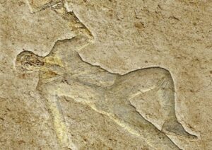 Le conseil indépendant menacé