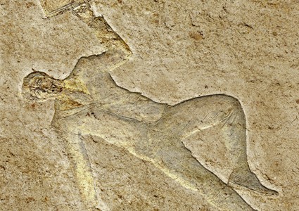 fossile_malette_conseiller_425-425×300 alternate text for this image