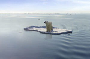 Quatrième partie <br/>  Le service aux clients orphelins, un faux problème?