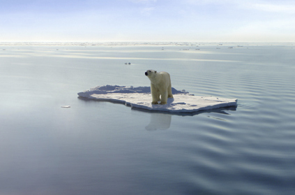 The last Polar Bear alternate text for this image