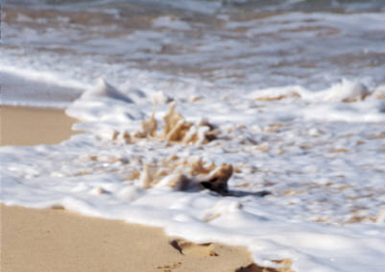 retraite_mer_plage_reve alternate text for this image