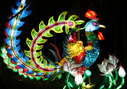 Paon_illusion_voir_en_couleurs-426×300 alternate text for this image