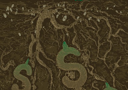 ressources_naturelles_investir_investissement_vert_argent_croitre_425-425×300 alternate text for this image