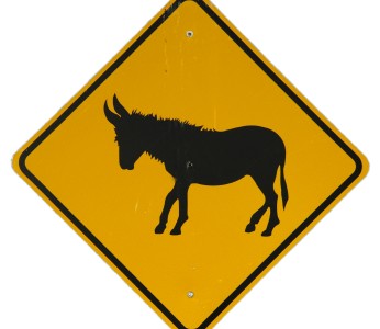 ane_panneau_routier_345-346×300 alternate text for this image