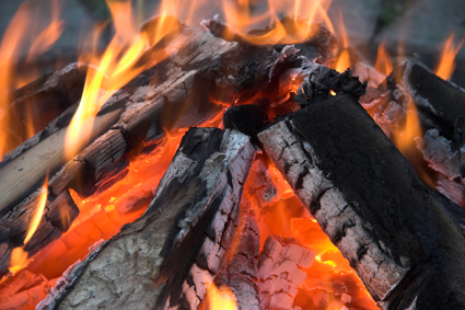 feu_camp_bois_assurance_425 alternate text for this image