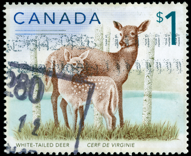 poste_Canada_un_dollar_383 alternate text for this image