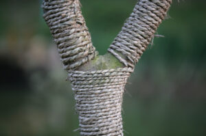 Génération Y : des entrepreneurs à choyer