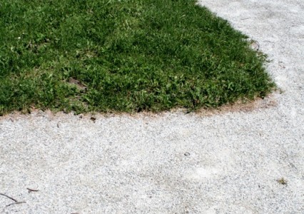 sentier_battu_sinueux_tortueux_courbe-426×300 alternate text for this image