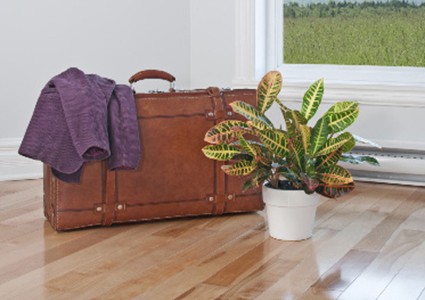 valise_arrivee_voyager_425.png-425×300 alternate text for this image