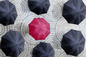 Assurance collective : une nouvelle option pour les retraités