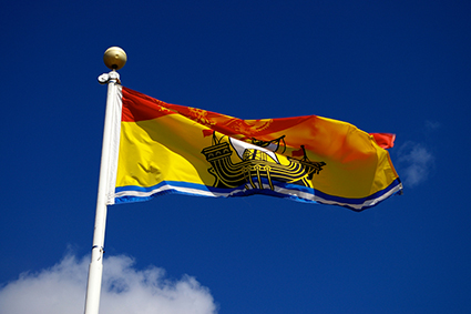 Nouveau_Brunswick_drapeau_425 alternate text for this image