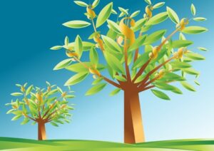 Le gibier se fait rare dans la chasse au rendement