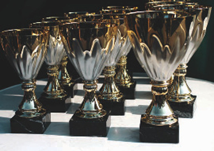 trophee_palmares_victoire_succes_425 alternate text for this image