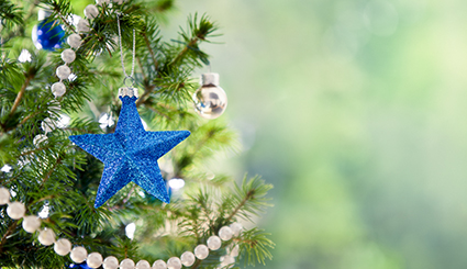 Noel_fetes_sapin_decoration_boule_425 alternate text for this image