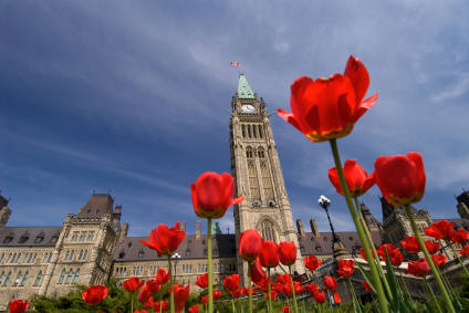parlement_Ottawa_federal_tulipe_425 alternate text for this image