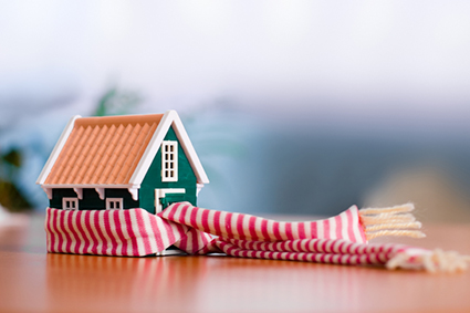 Protecting your house alternate text for this image
