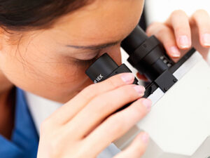 Crédits d’impôt de R et D : comment obtenir le maximum?