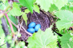 Obligations : sachez de quoi vous parlez à vos clients