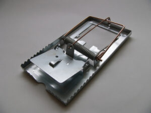 Trois pièges fiscaux à éviter