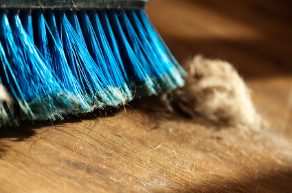 Broom, Dust & Fur Ball on Parquet Floor alternate text for this image