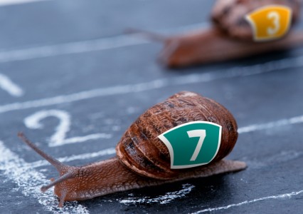lent_retard_course_escargot_delai-426×300 alternate text for this image