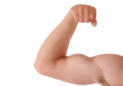 muscle_vigueur_muscles_fort_425-426×300 alternate text for this image