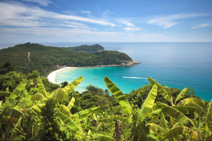 View From The Banana Plantage alternate text for this image