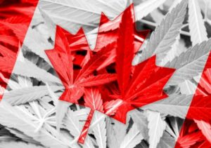 Pas facile, la vente à découvert d’actions de marijuana