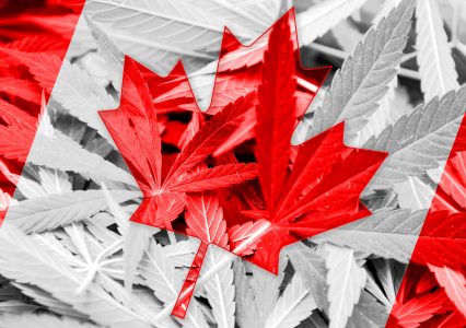cannabis_canada-426×300 alternate text for this image