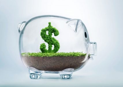durable_responsable_dollar_vert-426×300 alternate text for this image