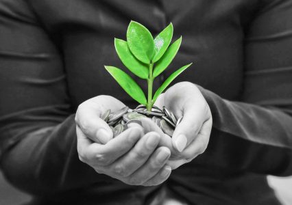 investissement-responsable-426×300 alternate text for this image