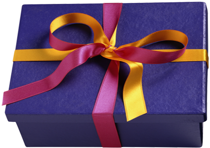 cadeau_fetes_anniversaire_noel_425 alternate text for this image