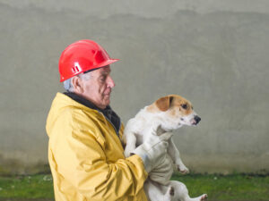 Les aînés face à la catastrophe : entre traumatisme et résilience