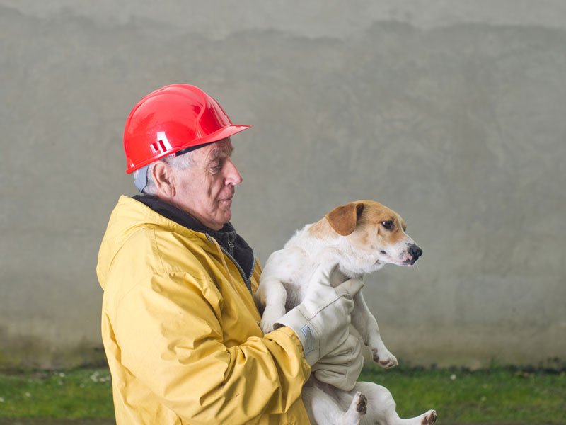 Retraite_Catastrophe_Aider_Animal_Chien_800x600 alternate text for this image