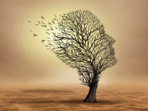 Aide médicale à mourir et assurance vie&nbsp;: vers la fin des prestations?