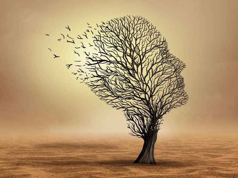 Aide_Medicale_Mourir_Arbre_Perte_Branches_800x600 alternate text for this image