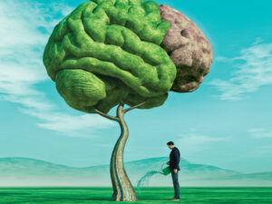 Les hauts et les bas de la formation continue