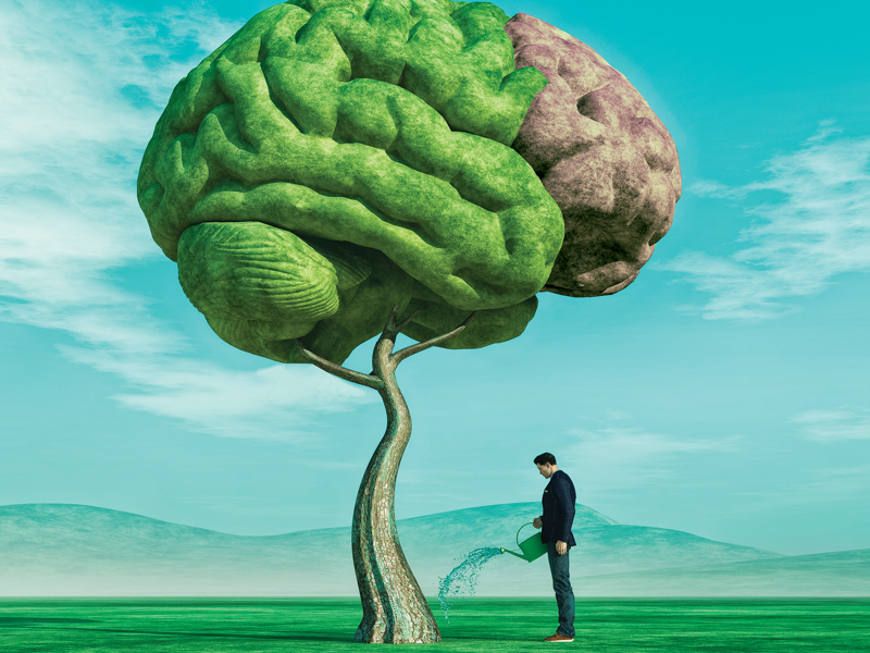 Arroser_Developper_Entretenir_Cerveau_Formation_Continue_800x600 alternate text for this image