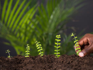 Réformisme c. conservatisme