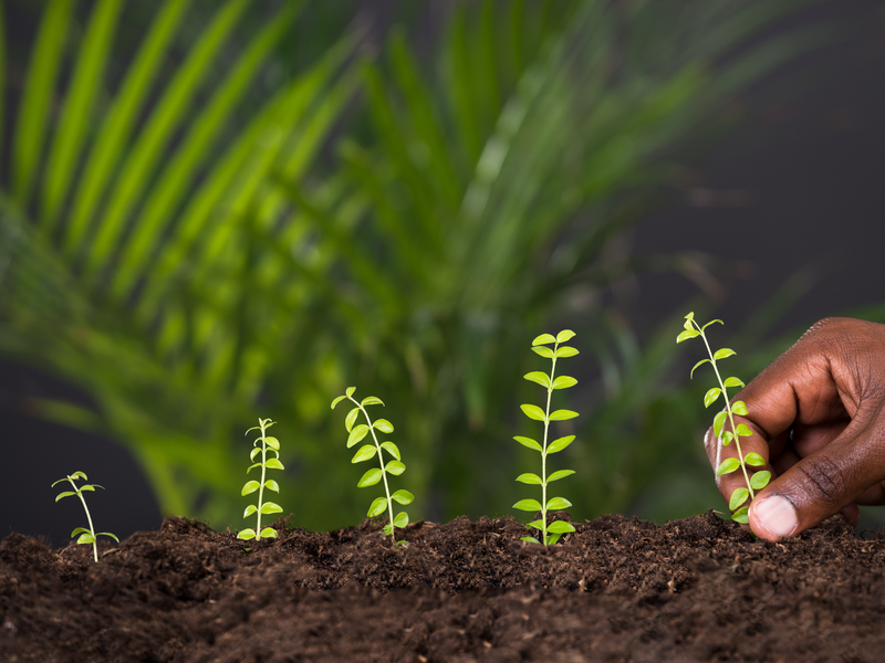  alternate text for this image