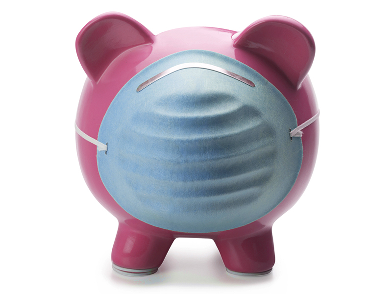 cochon_virus_800x600 alternate text for this image