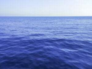 L’ancien président de la CVMO et cofondateur de FAIR nous a quittés