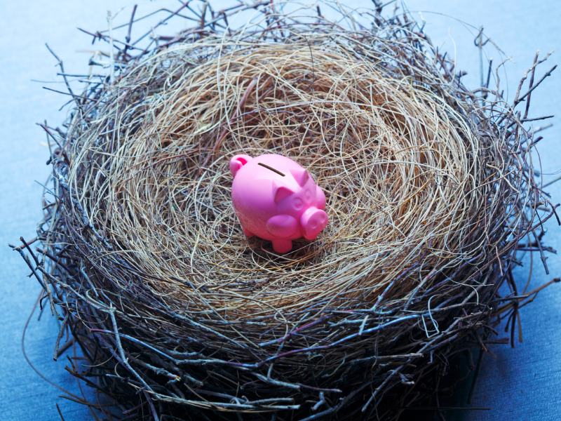 Une tirelire dans un nid d'oiseau.