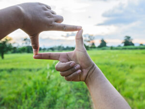 Survivre à 2024 (et au-delà) grâce à la diversification